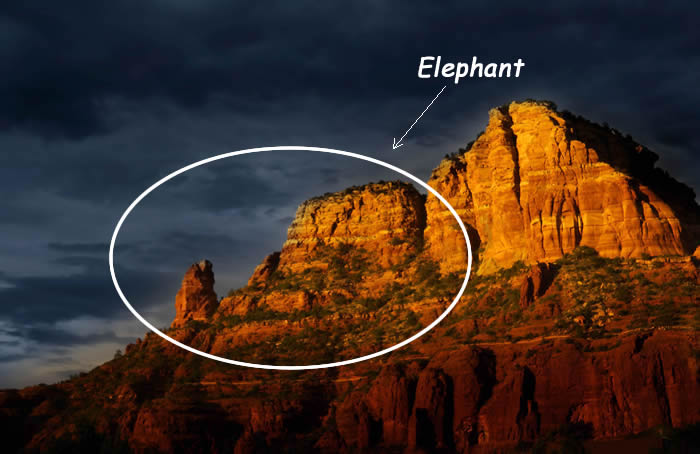 Sedona Red Rock Views - Elephant Rock